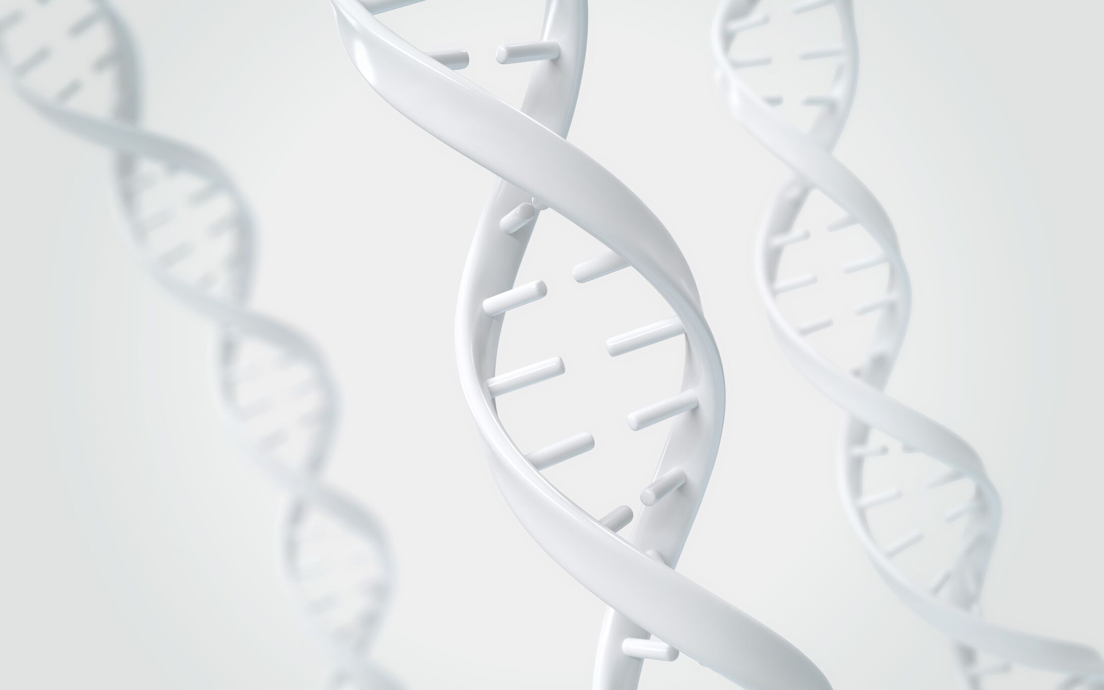 DNA helix of Genetic engineering and gene manipulation